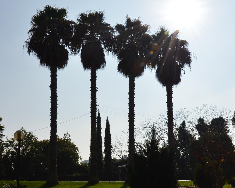 Villa Montanari Rosati Porto San Giorgio Exteriör bild